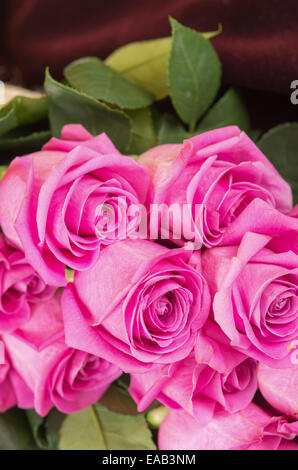 romantic bouquet of Ecuadorian pink roses Stock Photo