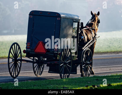 Amish buggy, Ronks, Lancaster County, Pennsylvania, USA Stock Photo