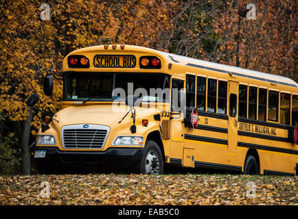 School bus on rural autumn route. Stock Photo