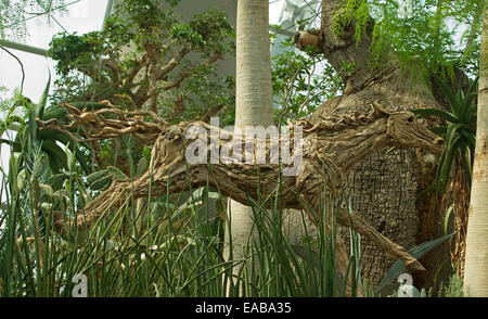 Spectacular and unique life-sized statue of galloping horse carved from single mass of tangled tree roots Stock Photo
