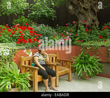 Smiling Asian woman in casual clothes seated on wooden bench surrounded by masses of colourful flowers in city park Stock Photo