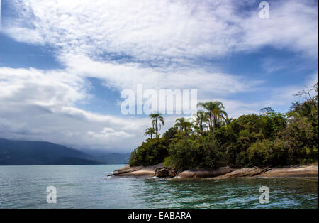 Tropical Island With Palm Trees in Brazil Stock Photo