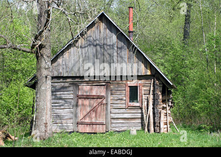 Shabby and abandoned wooden hut in the forest at sunny summer day Stock Photo