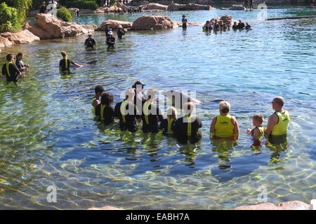 Discovery Cove Seaworld Orlando Florida Stock Photo