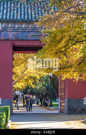 Scenery of autumn in Ditan park, Beijing Stock Photo