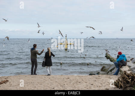 Couple feeding seagulls on Baltic Sea beach in Orlowo district in Gdynia city, Poland Stock Photo