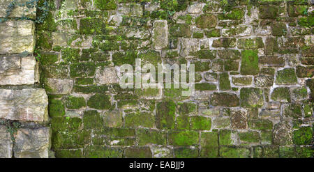 Mossy old natural stone wall Stock Photo