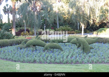 Discovery Cove Stock Photo