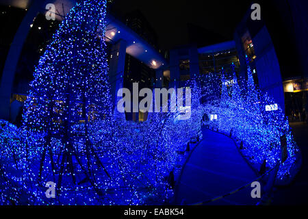Ginza, Tokyo, Japan. 11th Nov, 2014. Tuesday 11th November 2014, Shiodome Centre, Ginza, Tokyo Christmas lights being tested at the Shiodome Centre ready for the coming festive activities. Credit:  STEPHEN FLEMING/Alamy Live News Stock Photo