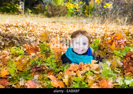 Fall. Adorable child boy with leaves in autumn park Stock Photo