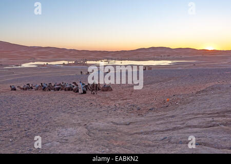 Bedouin camp in Sahara desert in Morocco, Africa Stock Photo