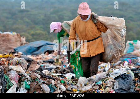 Brazil Estrutural near Brasilia woman collecting waste on a dump Stock ...