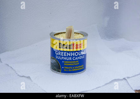 Cleaning a greenhouse with a smoke bomb,grenade,sulphur,candle, to kill insects. Stock Photo