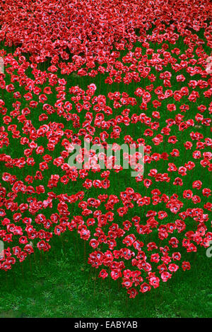 The Ceramic Poppies, Blood Swept Lands and Seas of Red, Tower of London, London, UK. Art work by Paul Cummins and Tom Piper 2014 Stock Photo