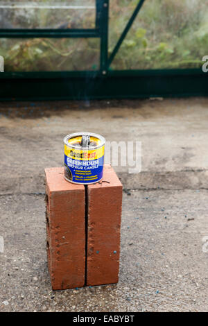 Cleaning a greenhouse with a smoke bomb,grenade,sulphur,candle, to kill insects. Stock Photo