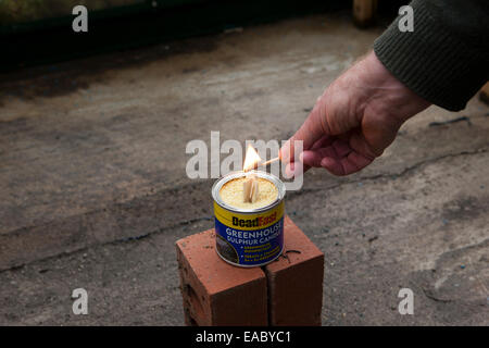 Cleaning a greenhouse with a smoke bomb,grenade,sulphur,candle, to kill insects. Stock Photo