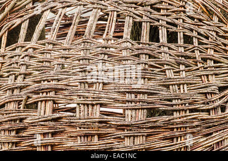 closeup of wicker willow background Stock Photo