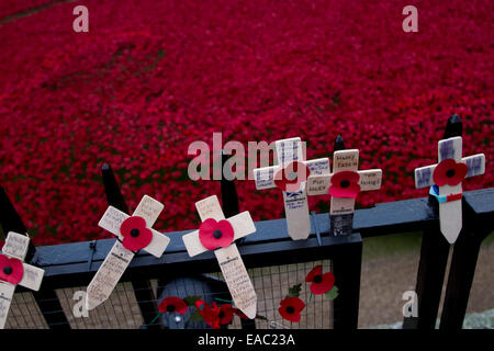 London,UK.11th November 2014. Thousands arrives at the Tower of London  to view the installation Blood Swept Lands and Seas of Red on Armistice Day when the last red poppy was planted by a young army cadet Credit:  amer ghazzal/Alamy Live News Stock Photo