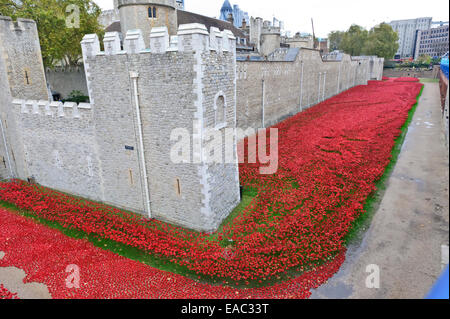 Display of ceramic poppies in the moat of Tower of London to commemorate the death of soldiers in the First World War, England. Stock Photo