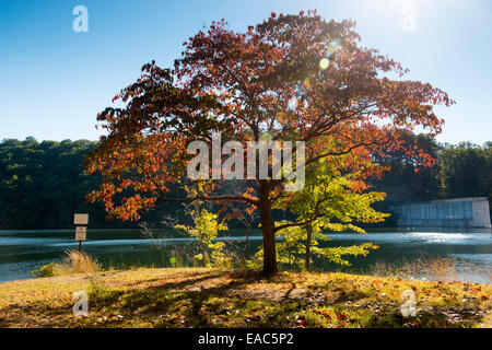 A sunny autumn day at Loch Raven Reservoir in Baltimore County, Maryland USA Stock Photo