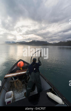 Commercial halibut fishing by hand using longline gear out of an open skiff in Kachemak Bay, Kenai Peninsula; Alaska, USA Stock Photo