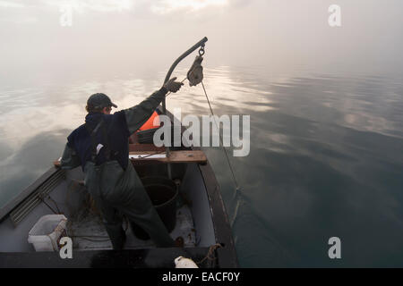 Commercial halibut fishing by hand using longline gear out of an open skiff in Kachemak Bay, Kenai Peninsula Alaska; USA Stock Photo