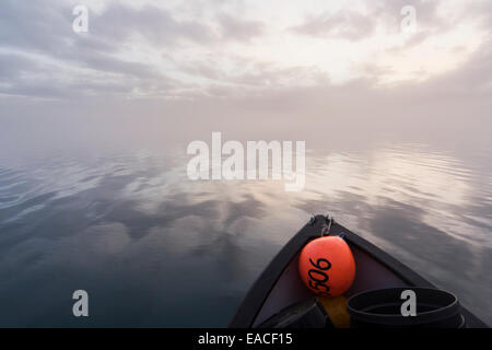 Commercial halibut fishing by hand using longline gear out of an open skiff in Kachemak Bay; Alaska, United States of America Stock Photo