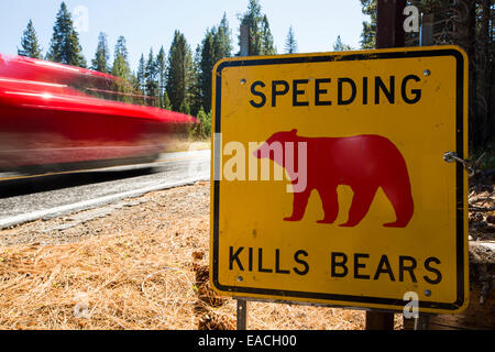 A yellow Spped kills bears sign in Yosemite National Park, each sign marks a spot where a bear has been killed by traffic, California, USA. Stock Photo