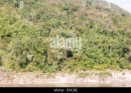 Riverbank.on a two day cruise on a slow ferry boat along Mekong River,Laos,South East Asia, Asia, Stock Photo
