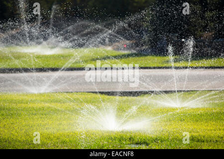 Despite the worst drought in living memory, that has lasted over four years, people are still watering their lawns in Fresno, California, USA. Most of California is in exceptional drought, the highest level of drought classification. 428,000 acres of agricultural land have been taken out of production due to lack of water, thousands of agricultural workers have lost their jobs and one third of all children in California go to bed hungry. Stock Photo