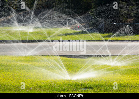 Despite the worst drought in living memory, that has lasted over four years, people are still watering their lawns in Fresno, Ca Stock Photo