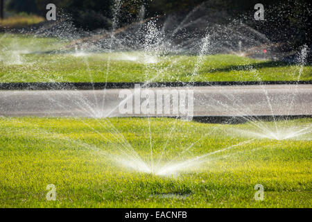 Despite the worst drought in living memory, that has lasted over four years, people are still watering their lawns in Fresno, California, USA. Most of California is in exceptional drought, the highest level of drought classification. 428,000 acres of agricultural land have been taken out of production due to lack of water, thousands of agricultural workers have lost their jobs and one third of all children in California go to bed hungry. Stock Photo