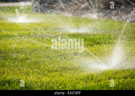 Despite the worst drought in living memory, that has lasted over four years, people are still watering their lawns in Fresno, California, USA. Most of California is in exceptional drought, the highest level of drought classification. 428,000 acres of agricultural land have been taken out of production due to lack of water, thousands of agricultural workers have lost their jobs and one third of all children in California go to bed hungry. Stock Photo