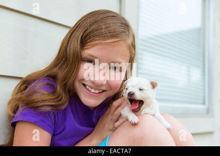 Girl playing with puppy chihuahua pet dog outdoor Stock Photo