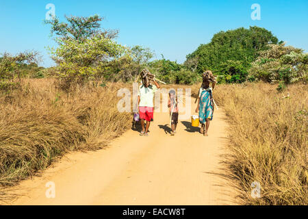 Malagasy women and boy walking on the road and carrying sugar cane on their head, Bekopaka, Majunga province, Madagascar Stock Photo