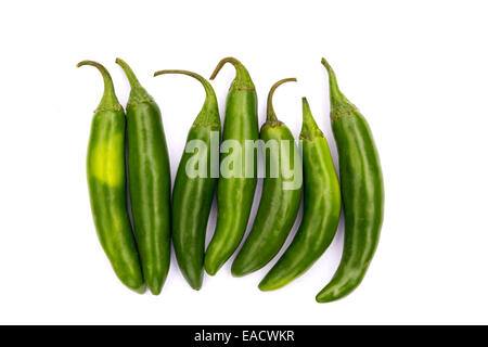Chile Serrano hot chili pepper on white background Stock Photo