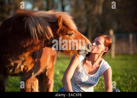 Shetland pony, chestnut gelding, with a girl, nuzzling Stock Photo