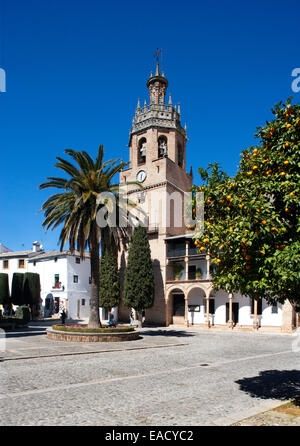 Church of Santa Maria la Mayor, Plaza Duquesa de Parcent, orange tree, historic centre, Ronda, Province of Malaga, Andalusia Stock Photo