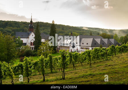 Vineyard, Cistercian monastery, Kloster Eberbach or Eberbach Abbey, Eltville am Rhein, Rheingau, Hesse, Germany Stock Photo