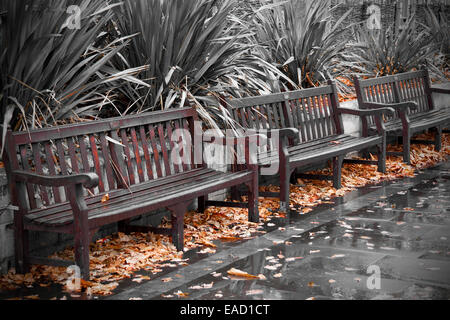 Empty wooden benches after heavy rain shower Stock Photo