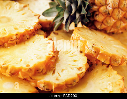 Pineapple, Ananas comosus, Yellow subject. Stock Photo