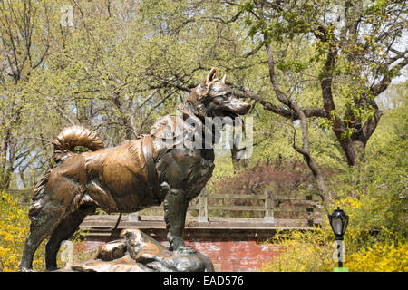 Sled Dog Statue, Balto, in Central Park NYC Stock Photo