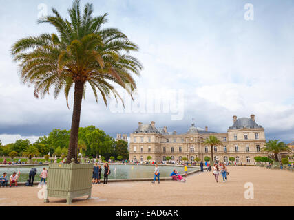 Paris, France - August 10, 2014: Palm tree in the pot near the Palace. Luxembourg Garden, Paris Stock Photo