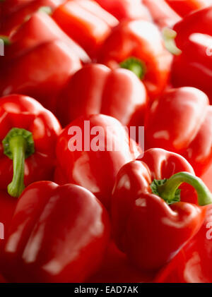 Pepper, Sweet pepper, Capsicum annuum, Red subject. Stock Photo