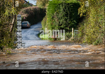 Flooding near Rewe, Exeter, Devon, UK, where the River Culm burst its banks following heavy rain. Stock Photo