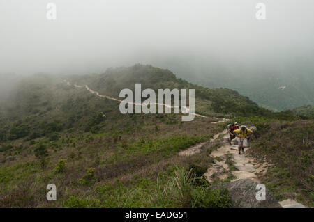 Hikers walking along the steep trails of Sunset Peak, Tai Tung Shan, located on Lantau Island Hong Kong China Stock Photo