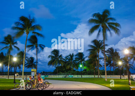 Miami Beach Florida,Ocean Drive,dusk,evening,night,Lummus Park,Serpentine Trail,palm trees,DecoBike Citi Bike CitiBike bike share system station,FL140 Stock Photo
