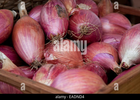 Red onions at the Berkeley Farmers' Market. Stock Photo