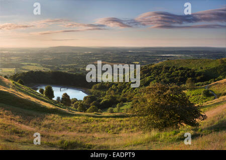 A Hawthorn tree, Crataegus monogyna, stands on the side of the Herefordshire Beacon and Millenium Hills Stock Photo