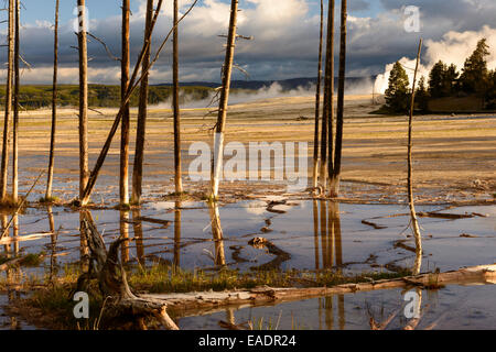 Steam rises from the Lower Geyser Basin in Yellowstone National Park. Stock Photo